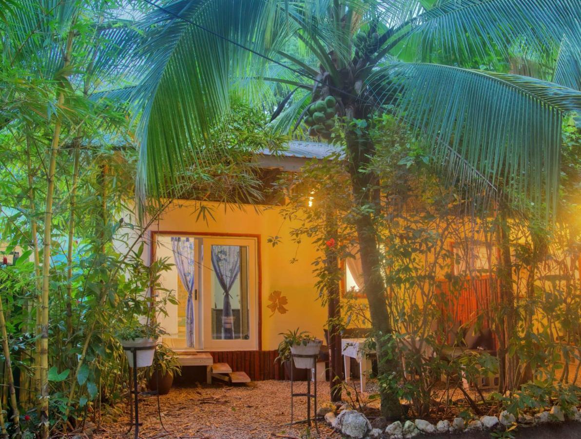Jungle'S Edge Hotell Nosara Exteriör bild