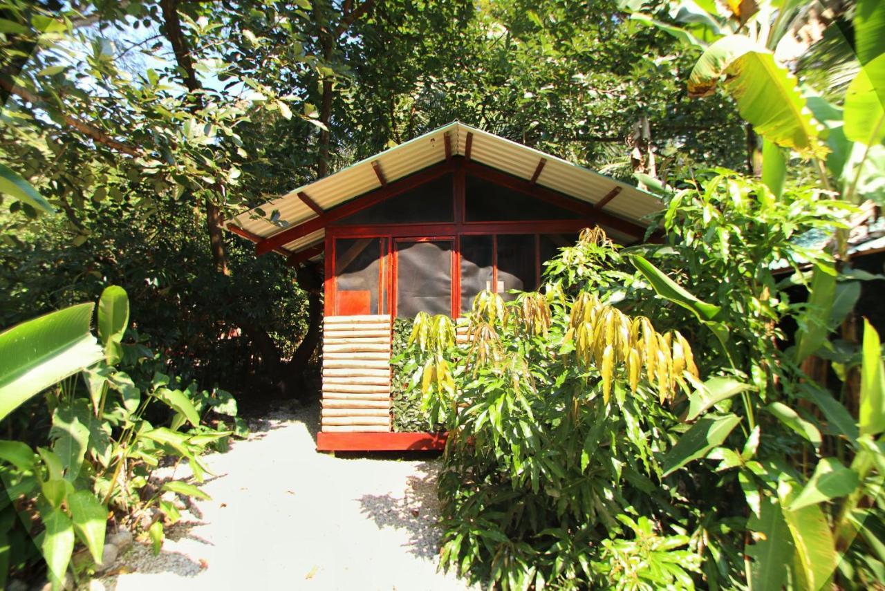 Jungle'S Edge Hotell Nosara Exteriör bild