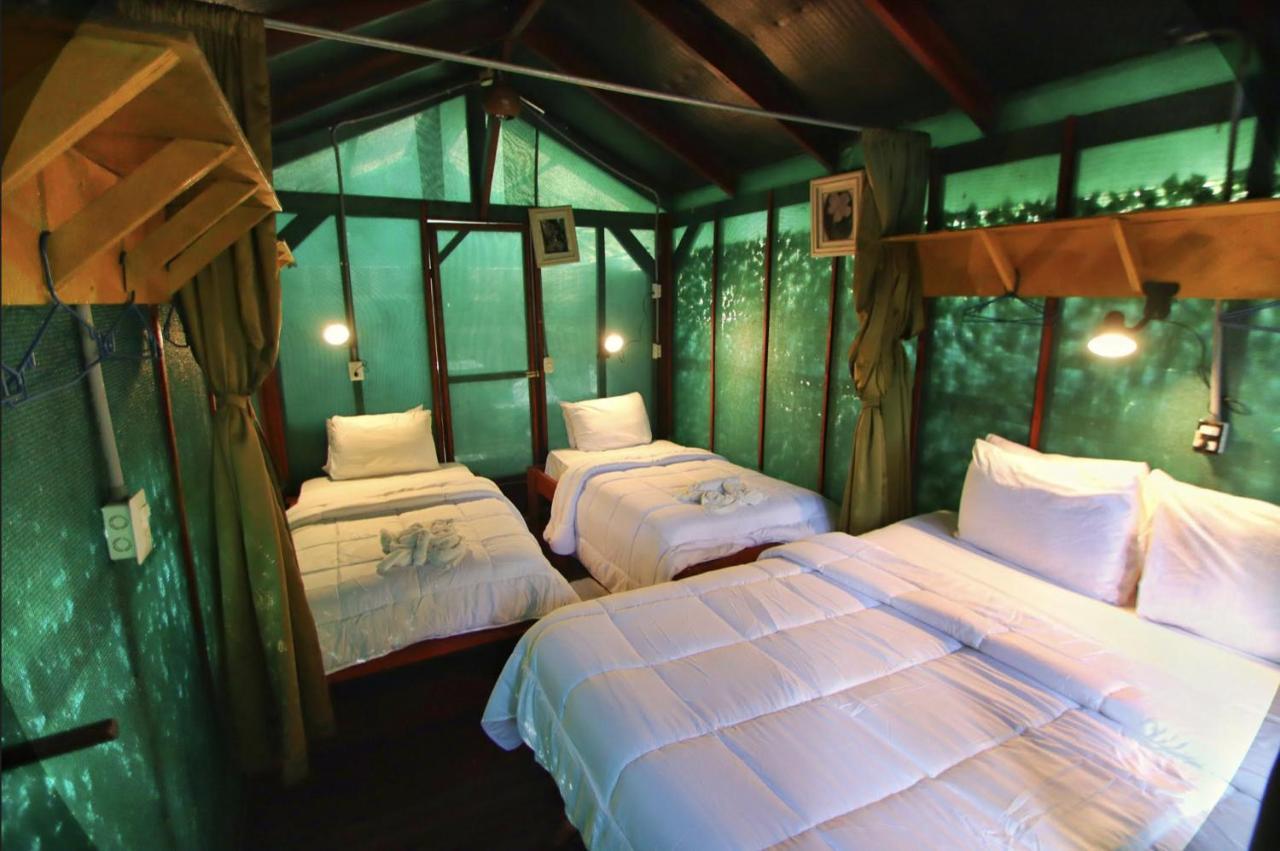 Jungle'S Edge Hotell Nosara Exteriör bild
