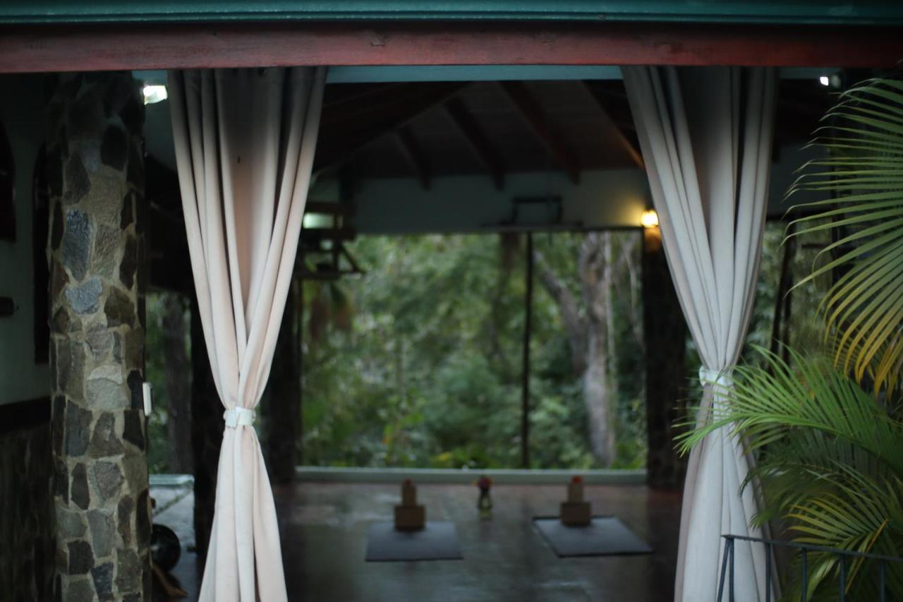 Jungle'S Edge Hotell Nosara Exteriör bild
