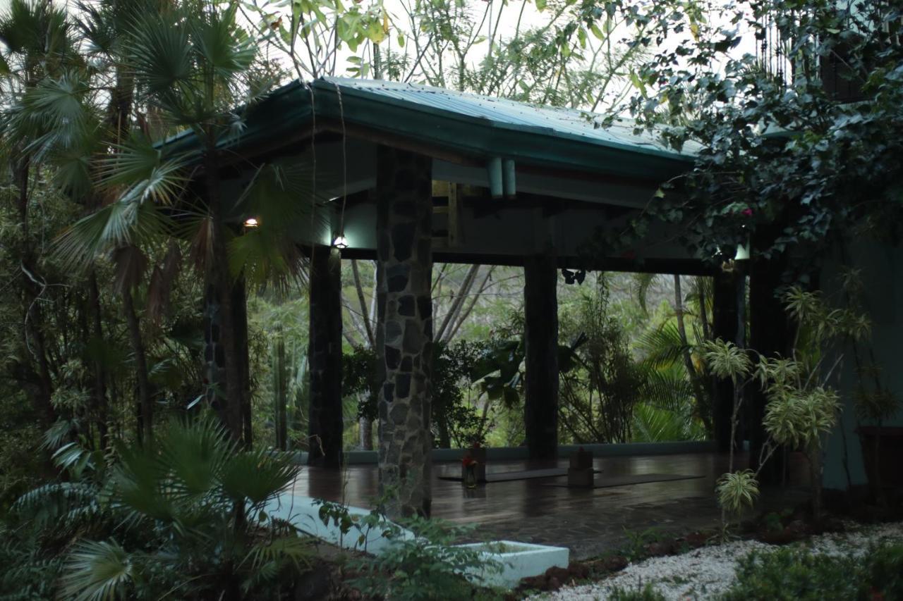Jungle'S Edge Hotell Nosara Exteriör bild
