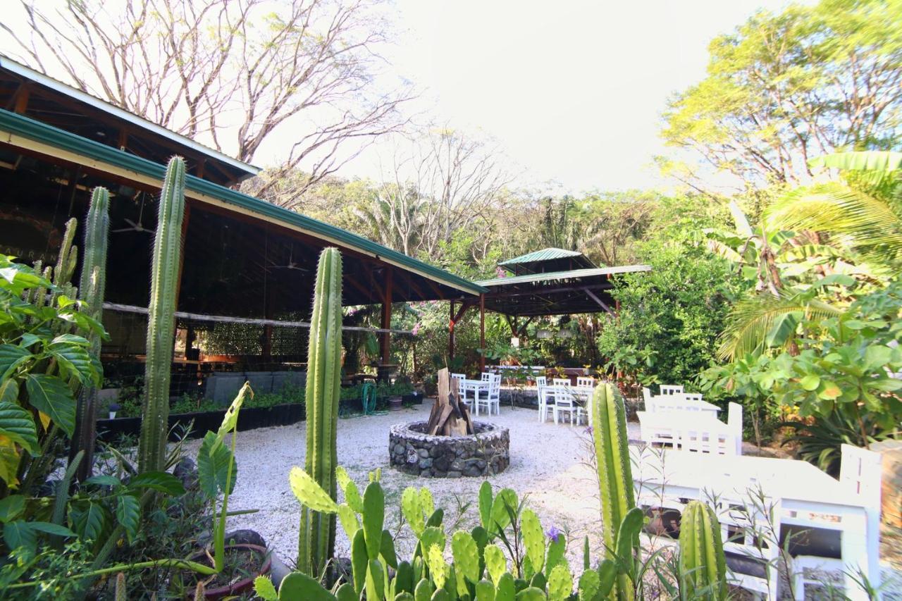 Jungle'S Edge Hotell Nosara Exteriör bild