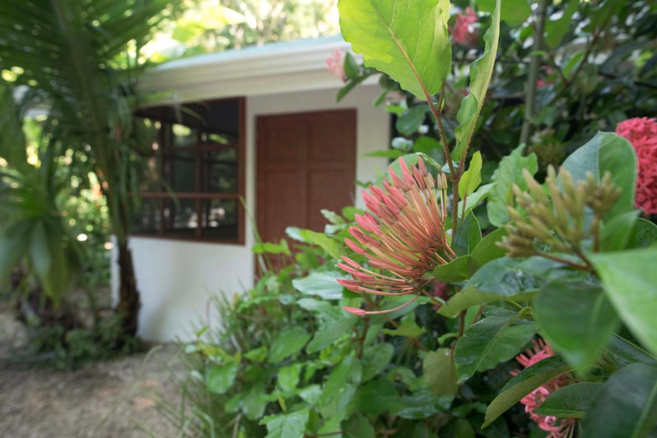 Jungle'S Edge Hotell Nosara Exteriör bild