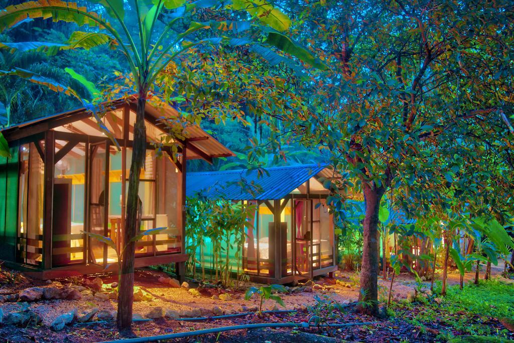 Jungle'S Edge Hotell Nosara Exteriör bild