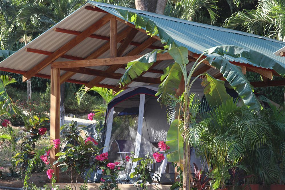 Jungle'S Edge Hotell Nosara Exteriör bild