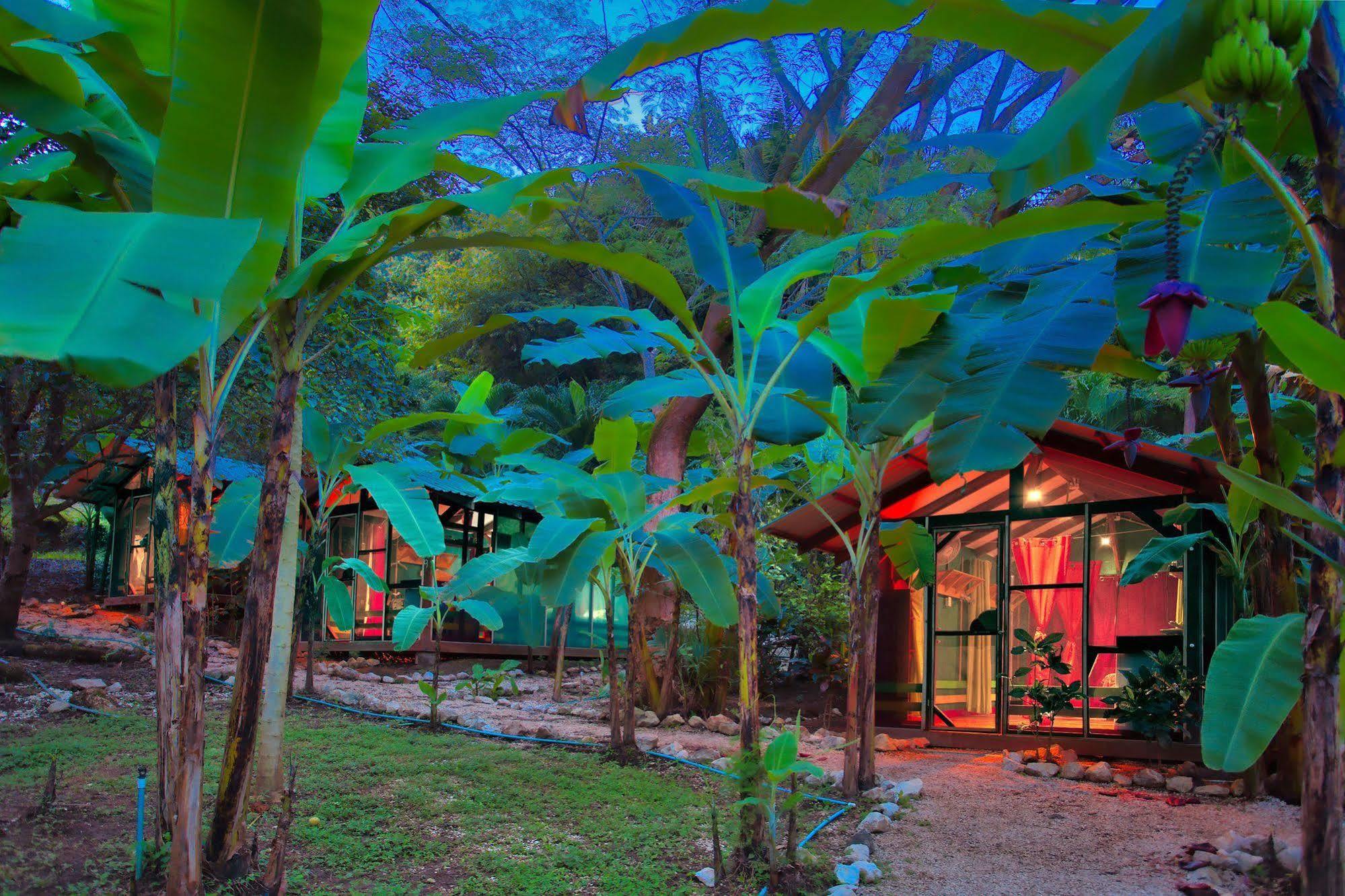 Jungle'S Edge Hotell Nosara Exteriör bild